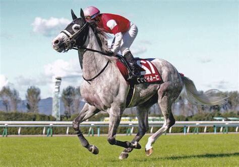 2014 馬